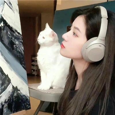 塞上风云记